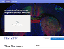 Tablet Screenshot of biolucida.net